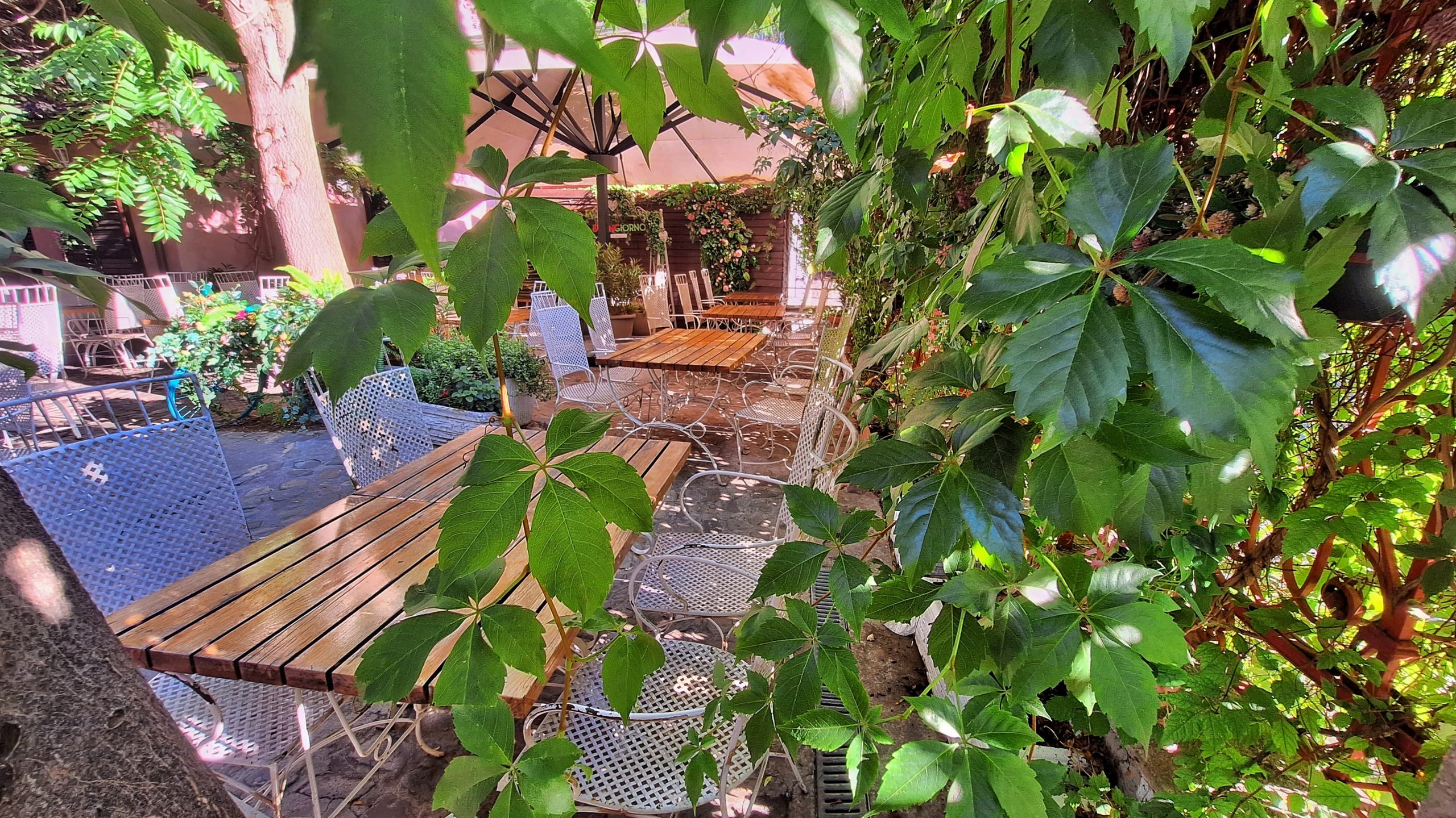 terasa_bucuresti