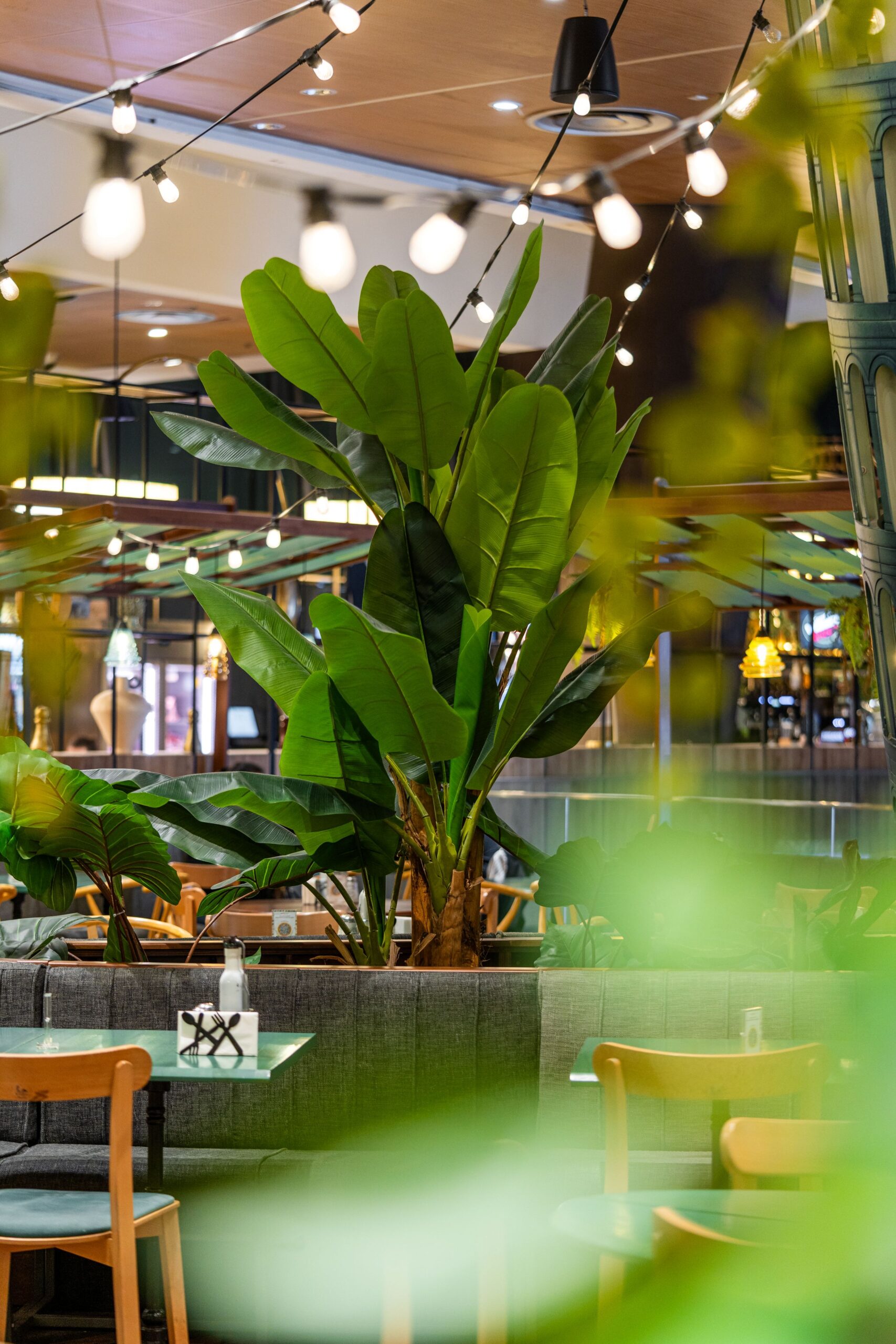 Indoor cafe scene with a tall tropical plant, string lights, and turquoise tables in a cozy dining area.
