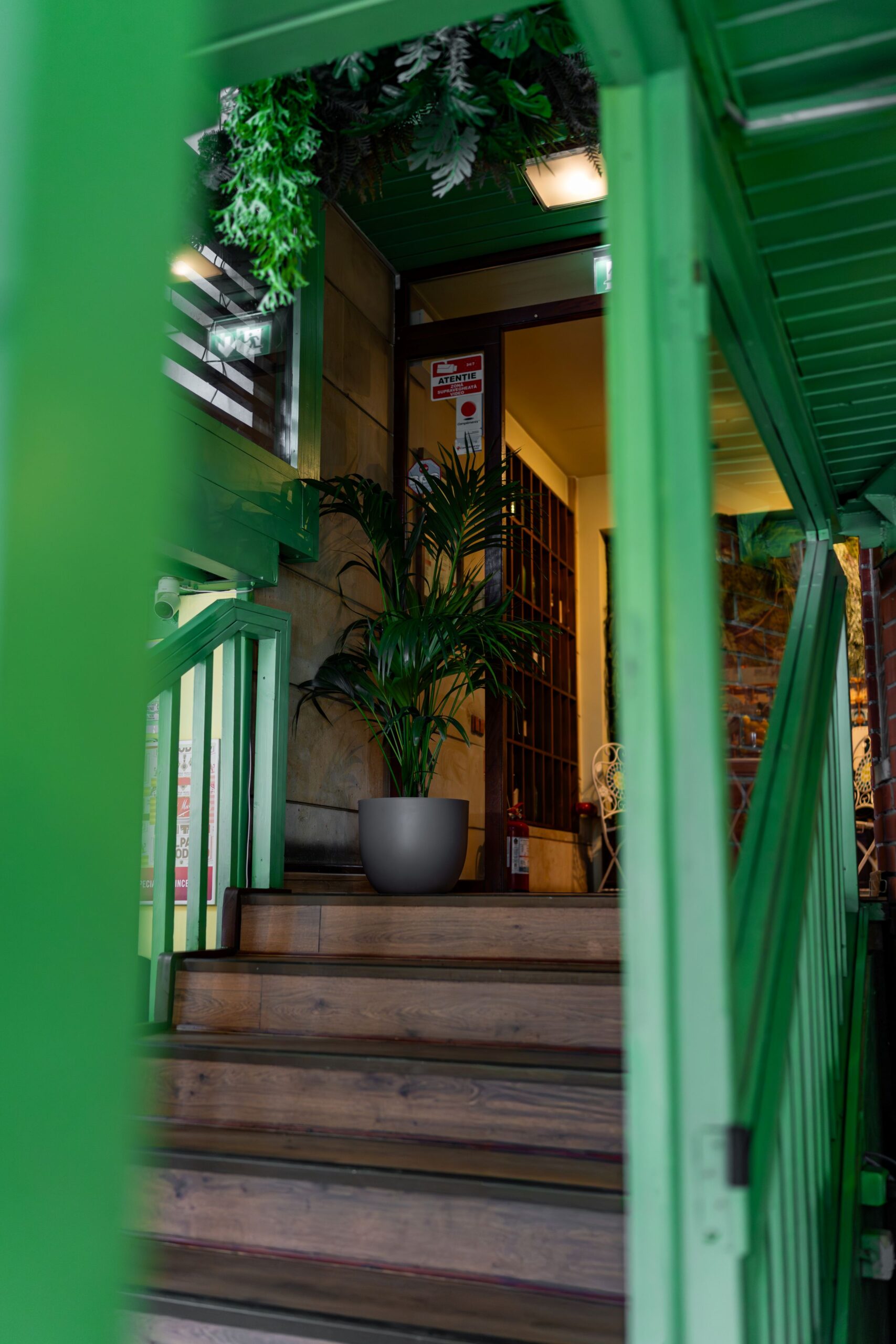 photo-33 - Buongiorno Italian Green-framed stairway leading into a warmly lit doorway with plants along the entrance.